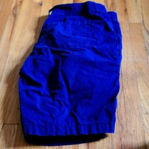 Gap shorts, dark blue, 32" waist